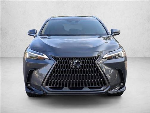 Cloudburst Gray 2025 Lexus NX 250 Premium