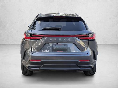 Cloudburst Gray 2025 Lexus NX 250 Premium