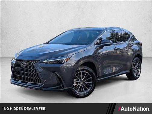 Cloudburst Gray 2025 Lexus NX 250 Premium