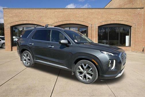 Rainforest 2022 Hyundai PALISADE Limited