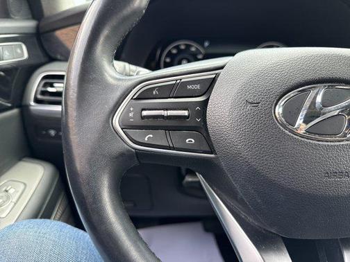 Rainforest 2022 Hyundai PALISADE Limited
