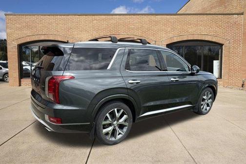 Rainforest 2022 Hyundai PALISADE Limited