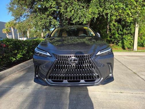 Gray 2024 Lexus NX 350 350 Luxury