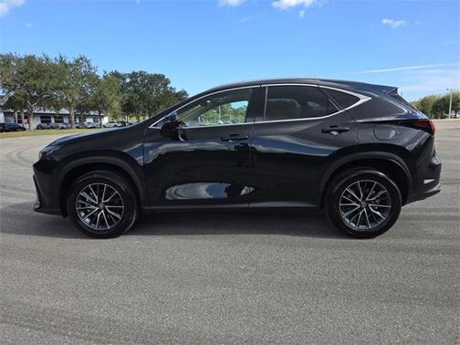 2025 Lexus NX 250 Premium