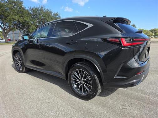 2025 Lexus NX 250 Premium