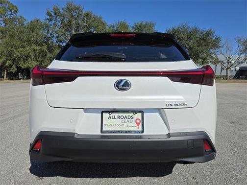 2025 Lexus UX 300h Premium