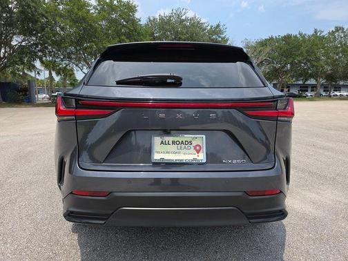 Cloudburst Gray 2025 Lexus NX 250 Premium