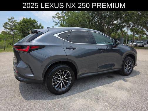 Cloudburst Gray 2025 Lexus NX 250 Premium