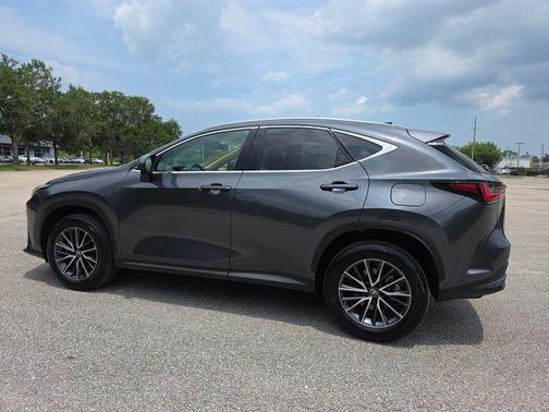 Cloudburst Gray 2025 Lexus NX 250 Premium