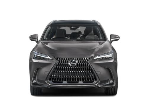 Eminent White Pearl 2025 Lexus NX 350h Luxury