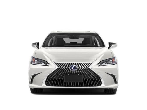 Silver Lining Metallic 2019 Lexus ES 300h Ultra Luxury