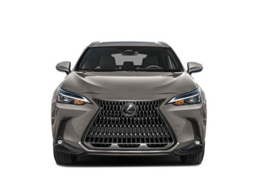 Atomic Silver 2023 Lexus NX 250 Premium