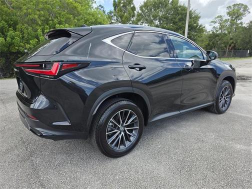 2025 Lexus NX 250 Premium