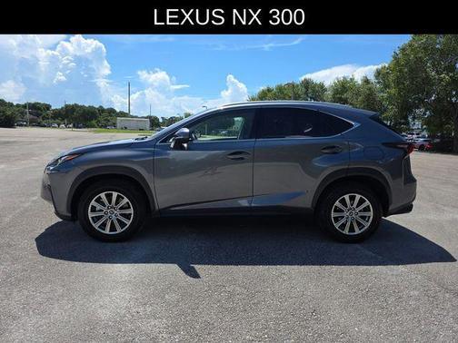 Nebula Gray Pearl 2021 Lexus NX 300 Base