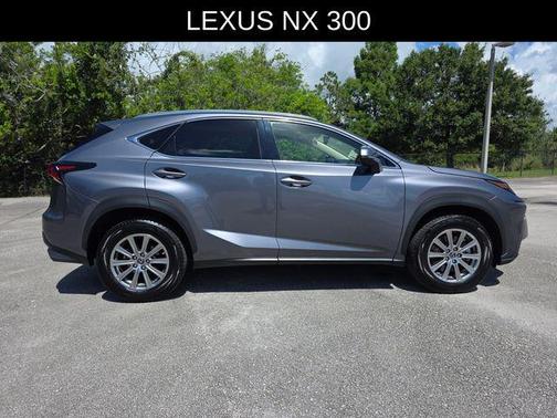 Nebula Gray Pearl 2021 Lexus NX 300 Base
