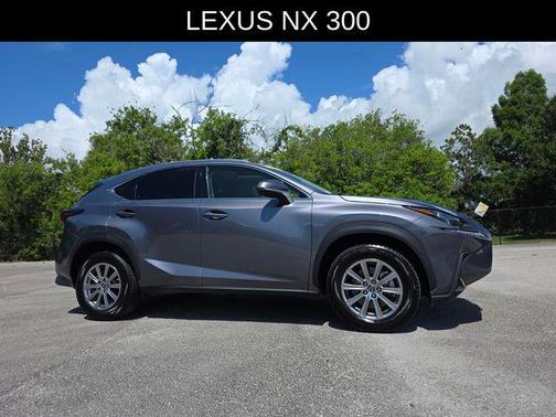 Nebula Gray Pearl 2021 Lexus NX 300 Base