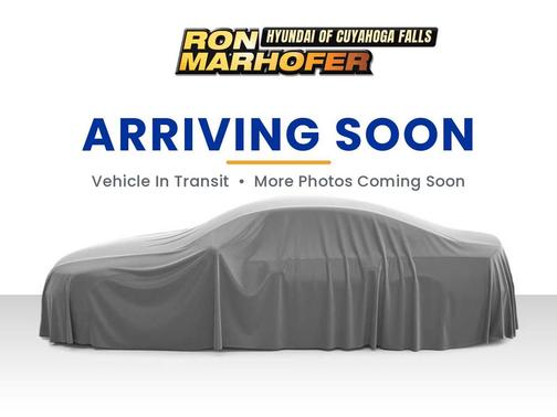 Panthera Metal 2026 Kia Carnival EX
