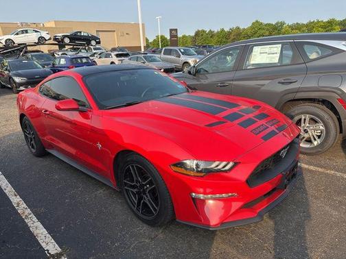 2019 Ford Mustang EcoBoost