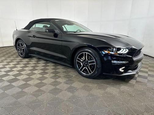 Shadow Black 2023 Ford Mustang EcoBoost Premium