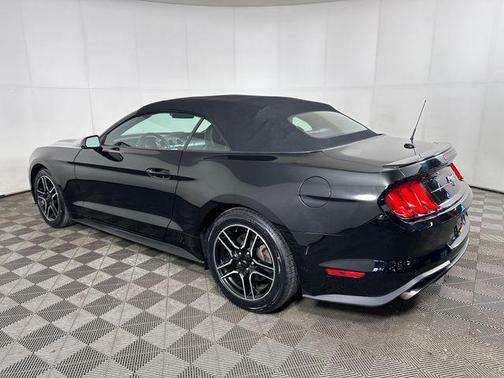 Shadow Black 2023 Ford Mustang EcoBoost Premium