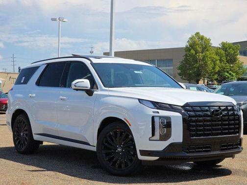 2025 Hyundai PALISADE Calligraphy Night Edition