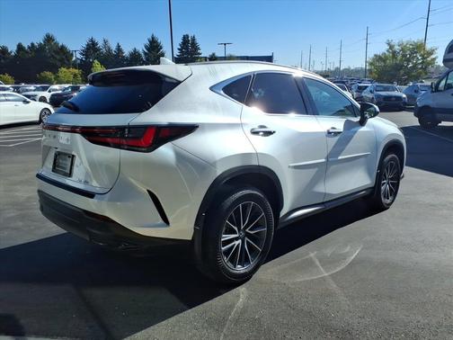2024 Lexus NX 250 Base