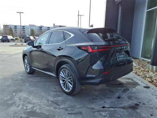 2022 Lexus NX 350h Luxury