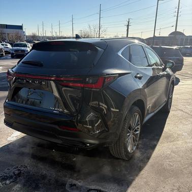 2022 Lexus NX 350h Luxury
