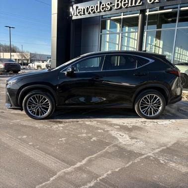 2022 Lexus NX 350h Luxury