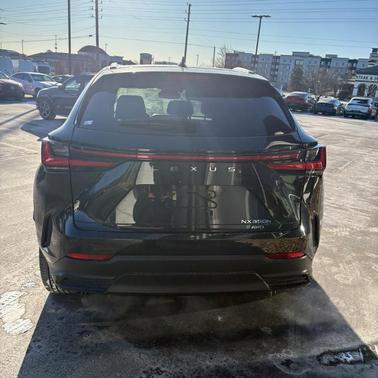 2022 Lexus NX 350h Luxury