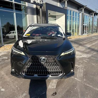 2022 Lexus NX 350h Luxury
