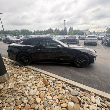 Shadow Black 2020 Ford Mustang EcoBoost Premium