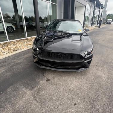 Shadow Black 2020 Ford Mustang EcoBoost Premium