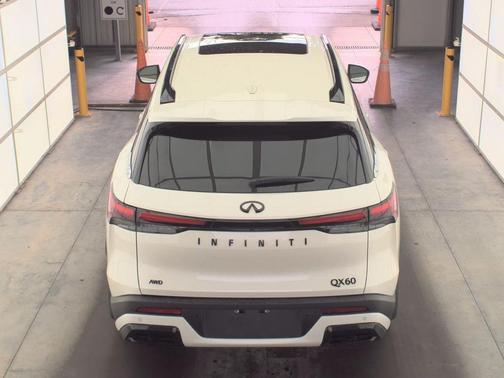 Majestic White 2025 INFINITI QX60 Luxe