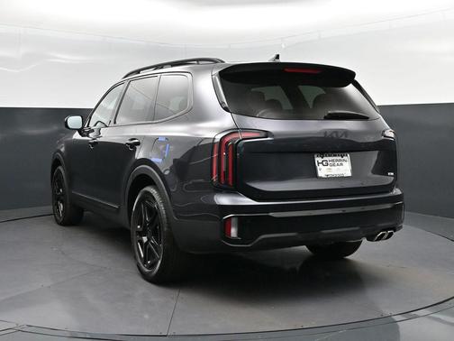 Panthera Metal 2025 Kia Telluride SX X-Line