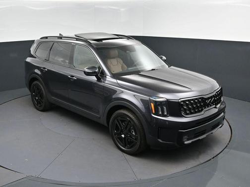 Panthera Metal 2025 Kia Telluride SX X-Line