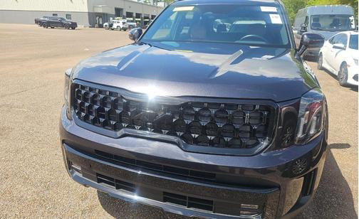 Panthera Metal 2025 Kia Telluride SX X-Line