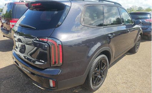 Panthera Metal 2025 Kia Telluride SX X-Line