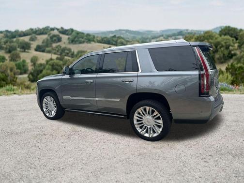 Steel Metallic 2019 Cadillac Escalade Platinum
