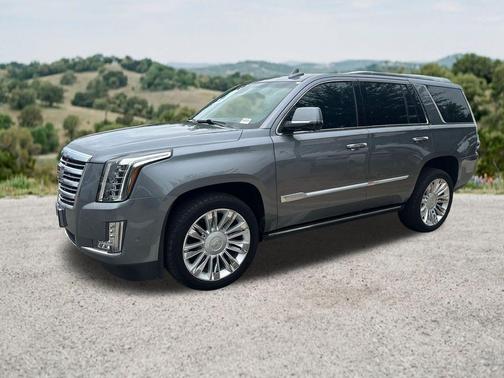 Steel Metallic 2019 Cadillac Escalade Platinum