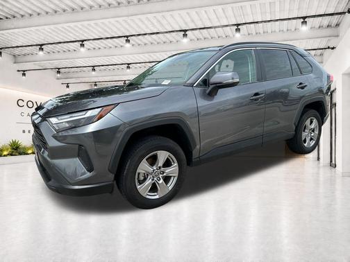 Magnetic Gray Metallic 2025 Toyota RAV4 XLE
