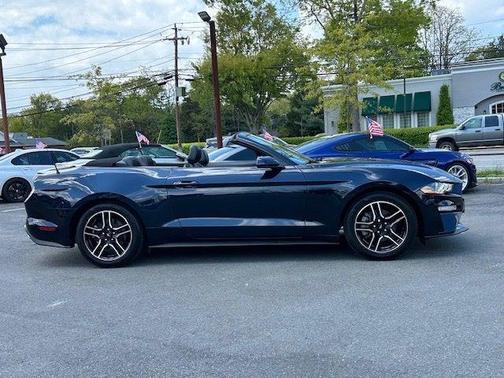 Blue Metallic 2021 Ford Mustang EcoBoost Premium