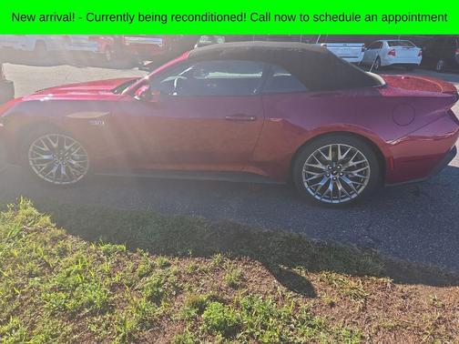 Magenta 2025 Ford Mustang GT Premium