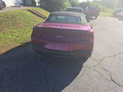 Magenta 2025 Ford Mustang GT Premium