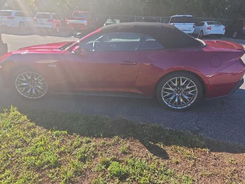 Magenta 2025 Ford Mustang GT Premium