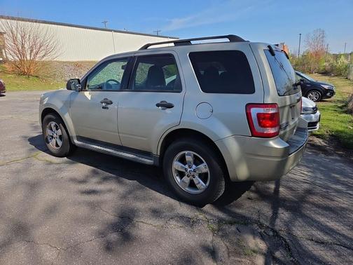 GOLD LEAF METALLIC 2011 Ford Escape XLT