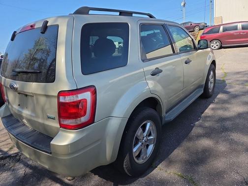GOLD LEAF METALLIC 2011 Ford Escape XLT