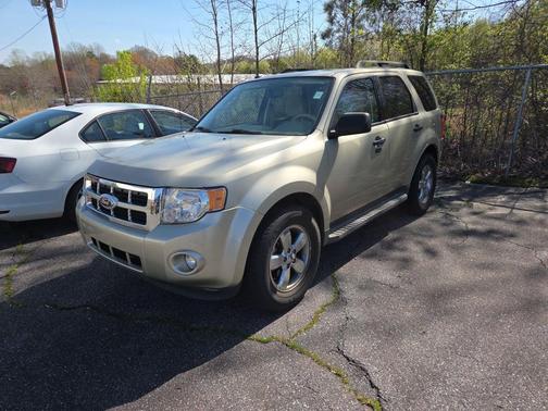 GOLD LEAF METALLIC 2011 Ford Escape XLT