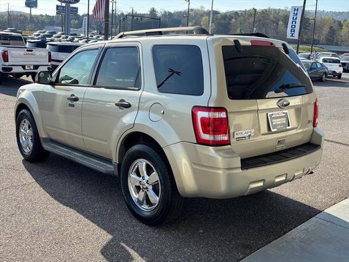 GOLD LEAF METALLIC 2011 Ford Escape XLT