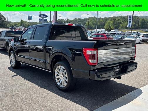Black Metallic 2023 Ford F-150 Platinum